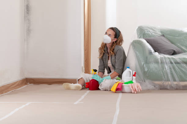 Reliable Mold Cleanup contractor in Coram, NY by WQB Mold Removal